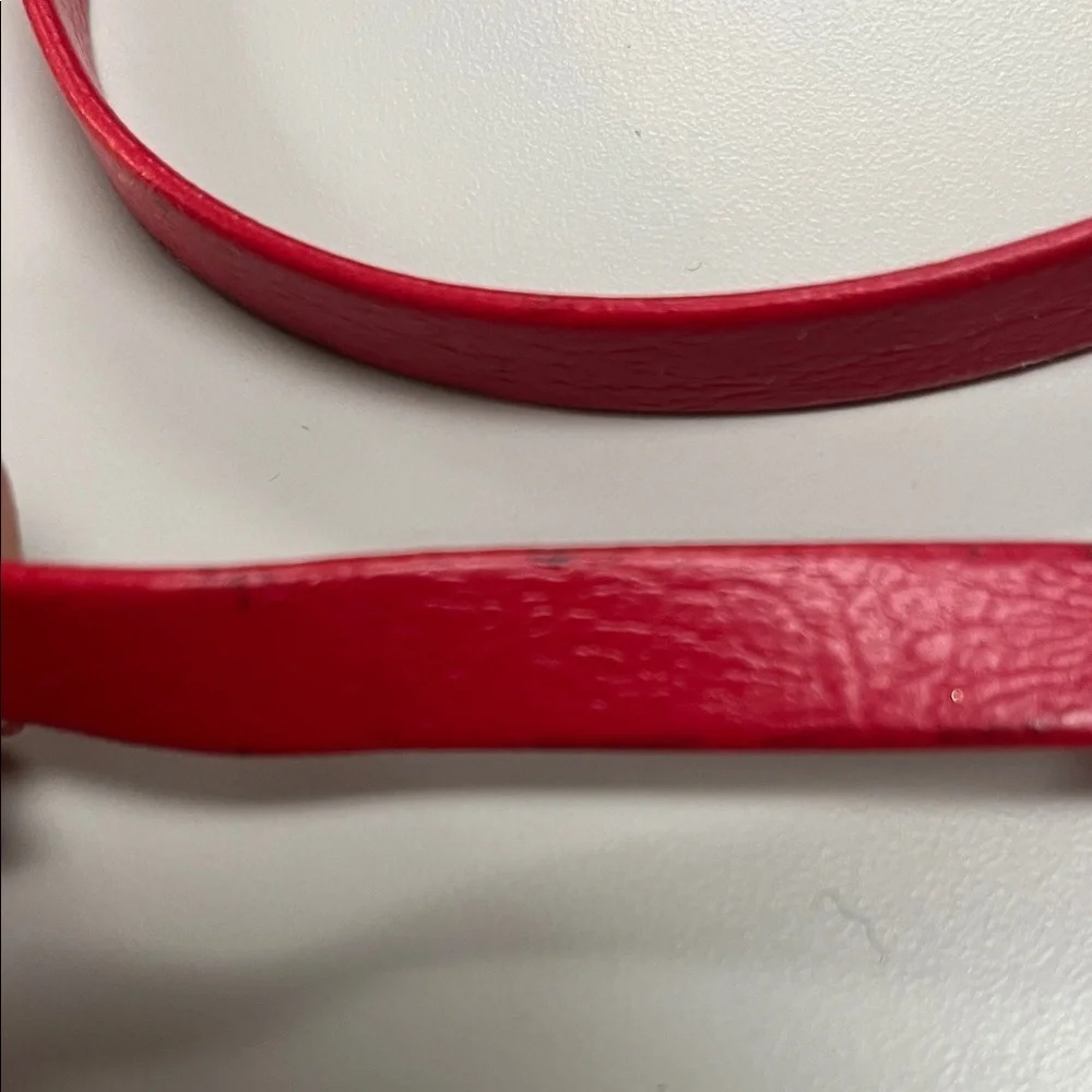 Red Belt with Gold Coin Accents